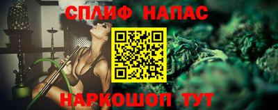 амф Новозыбков