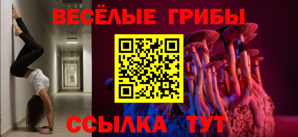 Псилоцибиновые грибы прущие грибы  Вход с VPN  Реж  Псилоцибиновые грибы прущие грибы 