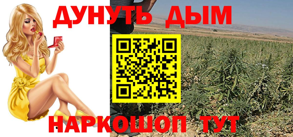Шишки марихуана Amnesia Реж